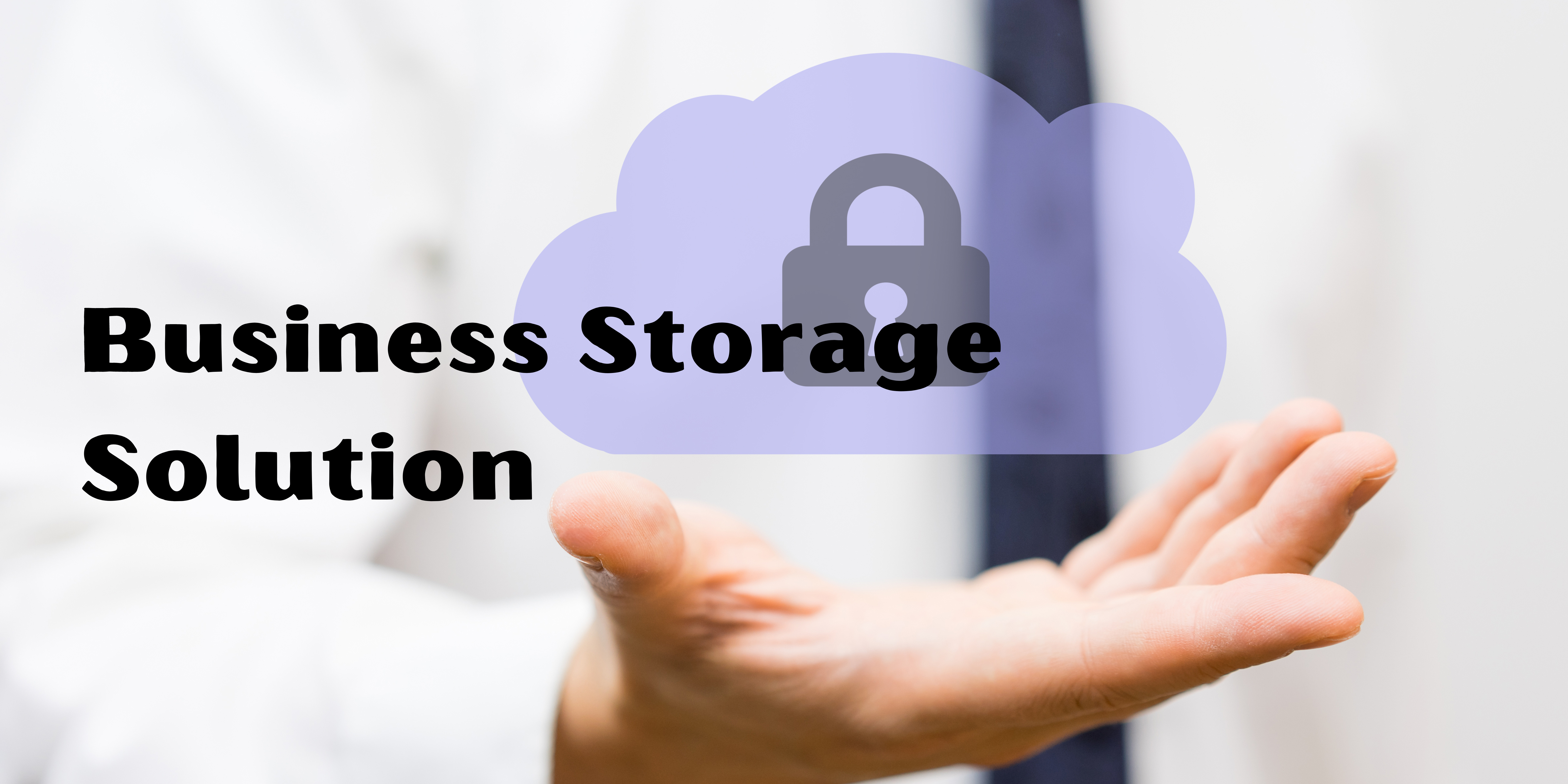 Business Storage Solution